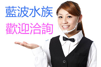 蓝波水族 欢迎洽询